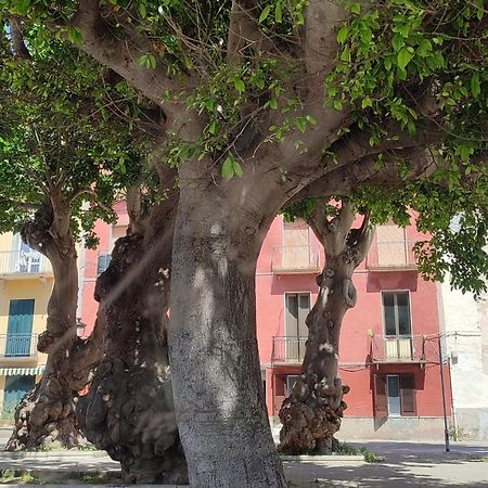 Alla Marina Da Pina Trapani Dış mekan fotoğraf