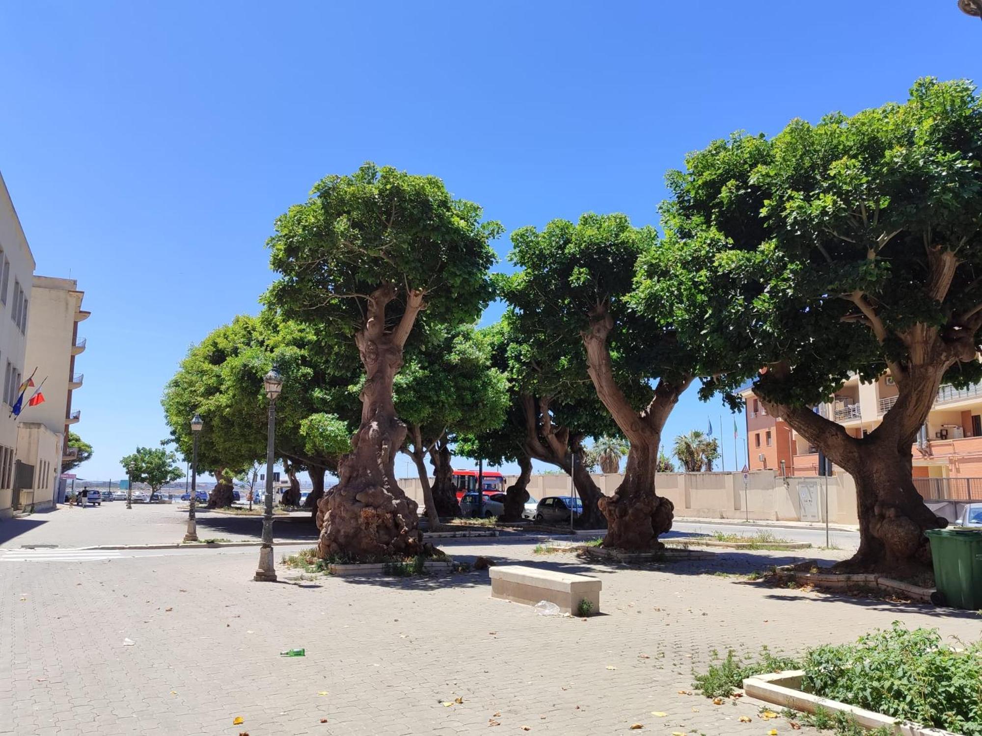 Alla Marina Da Pina Trapani Dış mekan fotoğraf