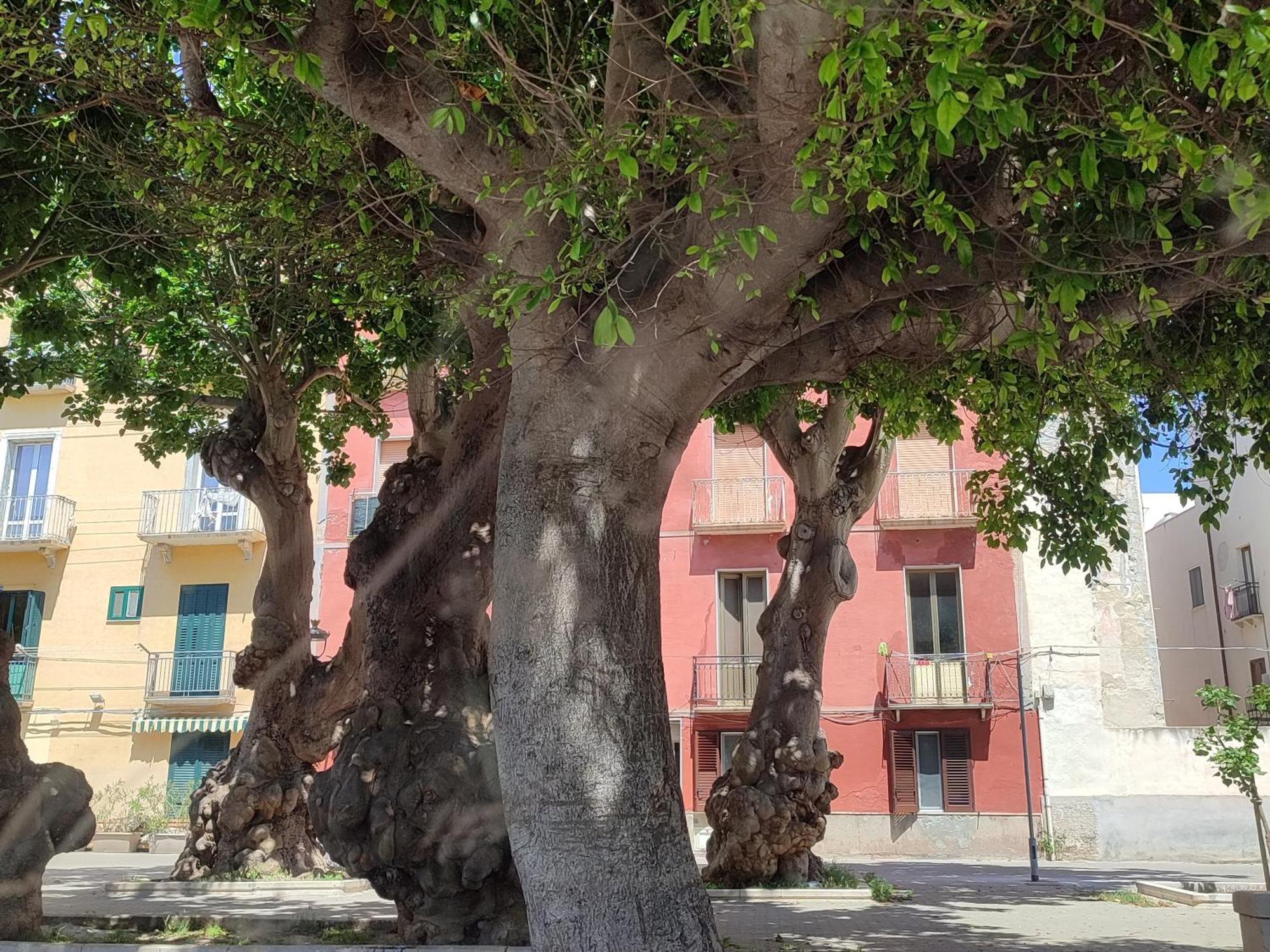 Alla Marina Da Pina Trapani Dış mekan fotoğraf