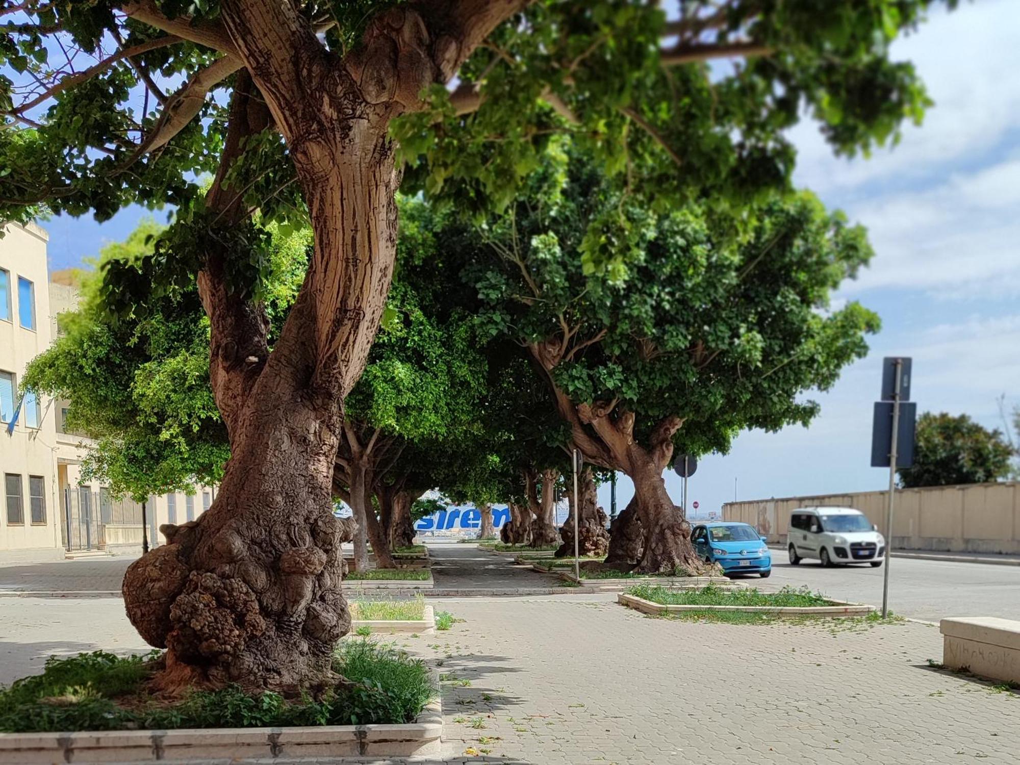 Alla Marina Da Pina Trapani Dış mekan fotoğraf